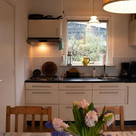 Huijsmans Verhuur Type C Comfort Alexanderpark 201 Holiday home *